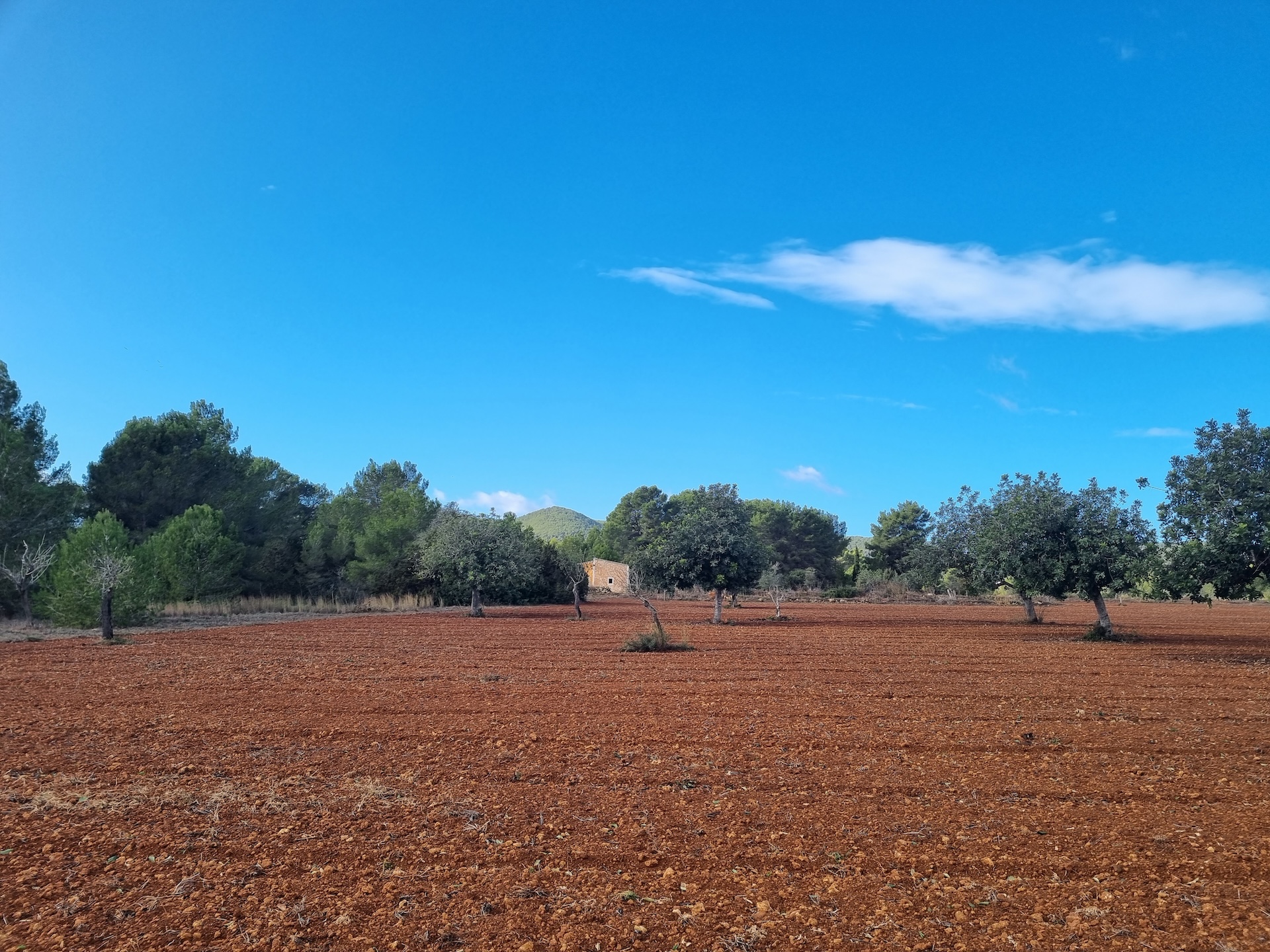 Resa Estates plots santa Gertrudis Ibiza for sale te koop 5 .jpg